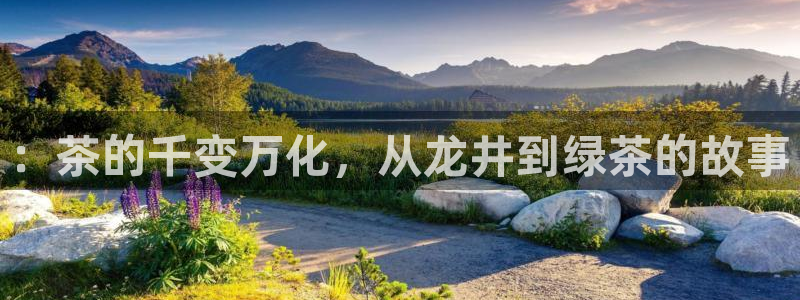 彩名堂为什么用不了了