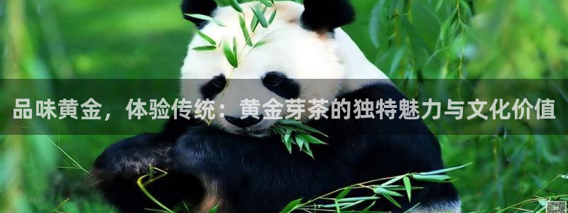 彩名堂怎么跟计划才不连挂