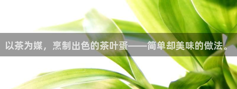 彩名堂怎么选稳定计划产品