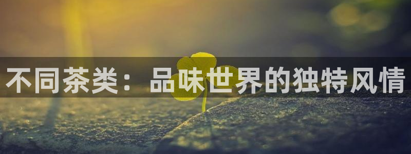 彩名堂和01计划哪个好