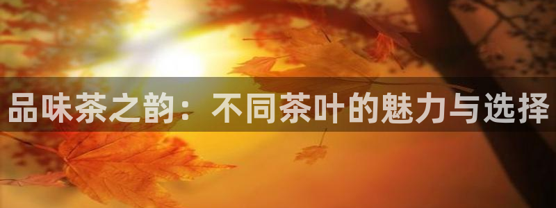 彩名堂一直不出结果怎么回事呀