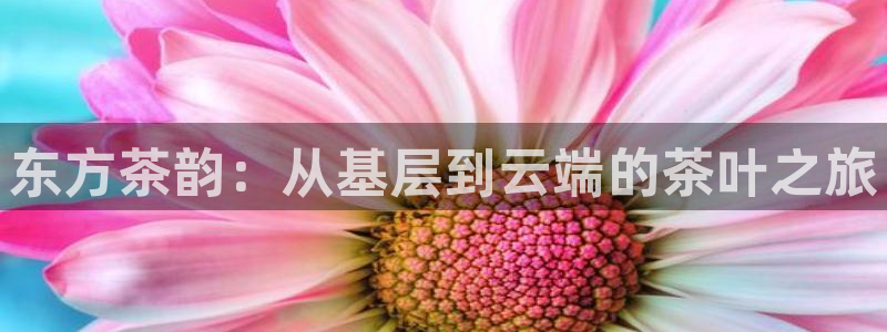 彩名堂官网网页计划