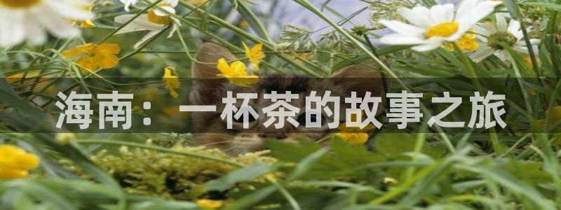 下载彩名堂预测计划软件安卓