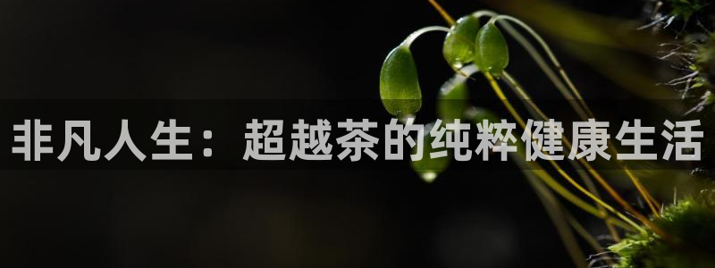 彩名堂移动客户端怎么下载