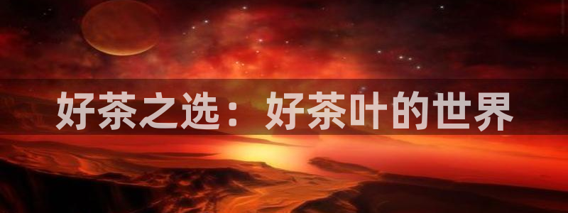 彩名堂安卓客户端官网