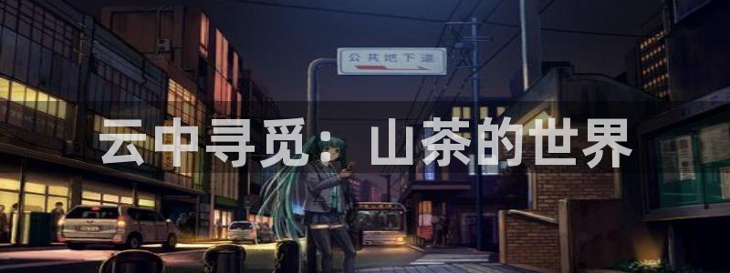 彩名堂官网计划怎么下载