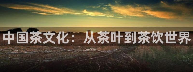 彩名堂免费计划官网5.0.0