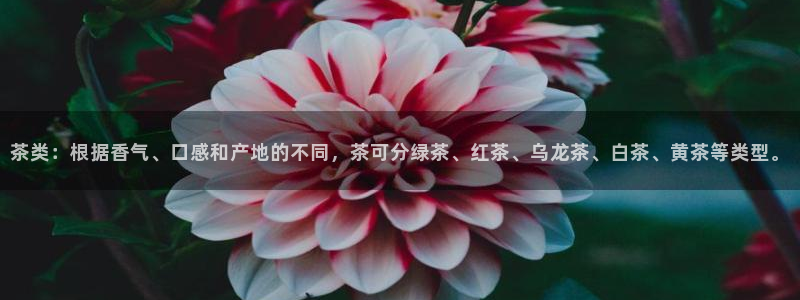 彩名堂客户端是永久免费吗安全吗苹果