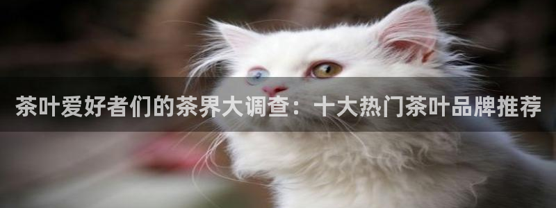 彩名堂是不是不能用了吗