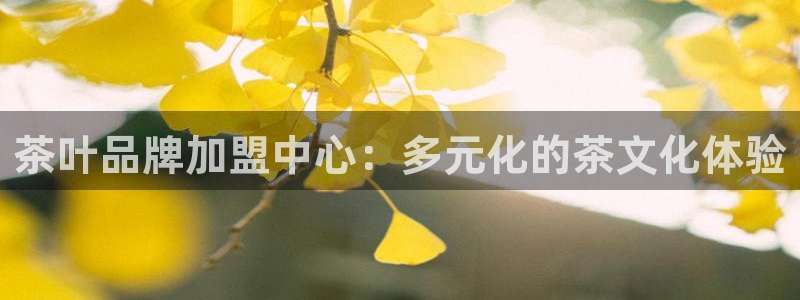 彩名堂怎么跟计划才不连挂呢