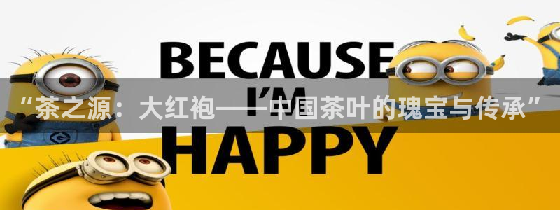 彩名堂怎么用不了了