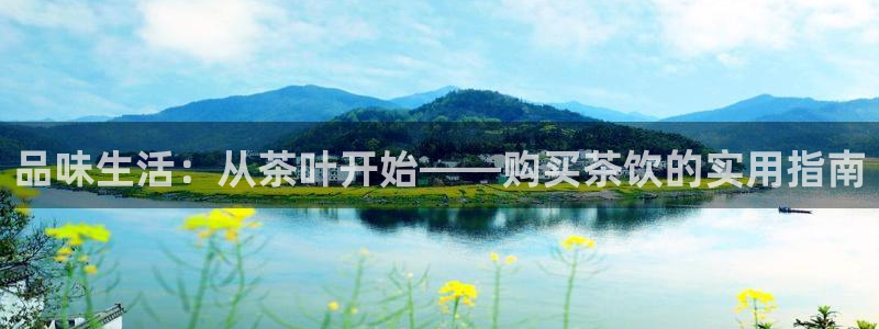 老版本彩名堂计划软件