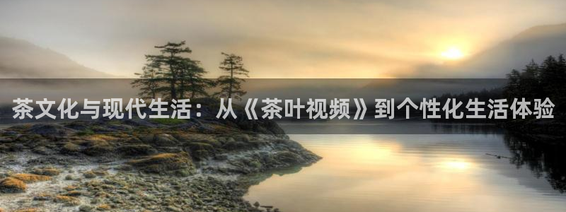 彩名堂计划技巧