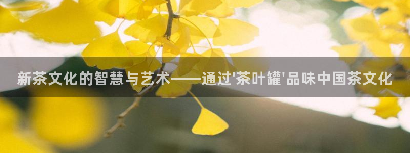 彩名堂计划怎么出的