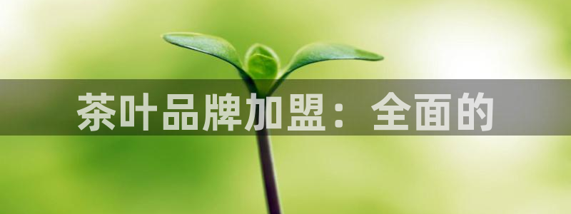 下载彩名堂预测计划软件安全吗