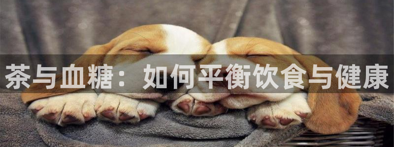 彩名堂移动客户端