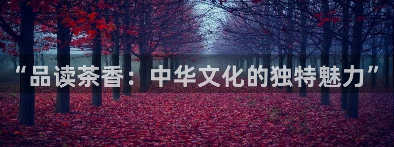 彩名堂使用方法和用量