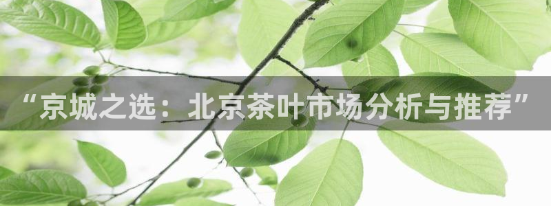 彩名堂官网计划
