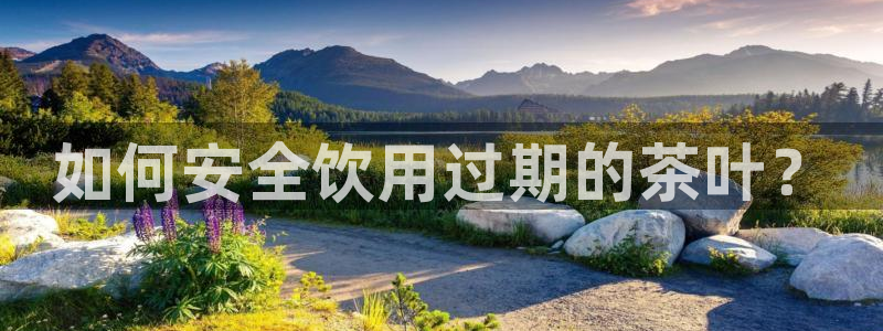 彩名堂50版本计划