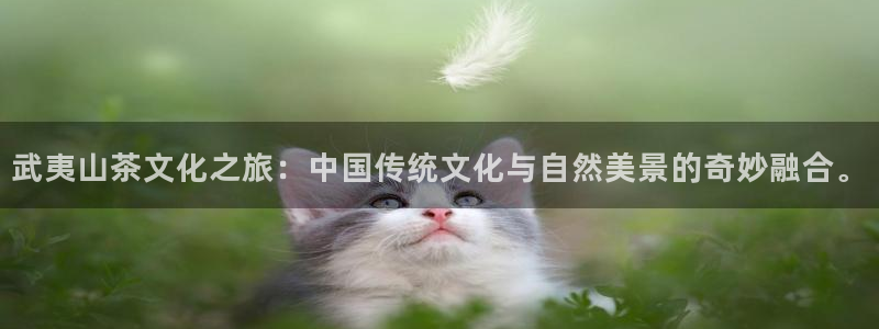 彩名堂app2.05版本