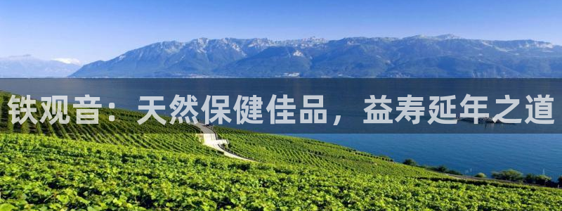 彩名堂免费计划下载