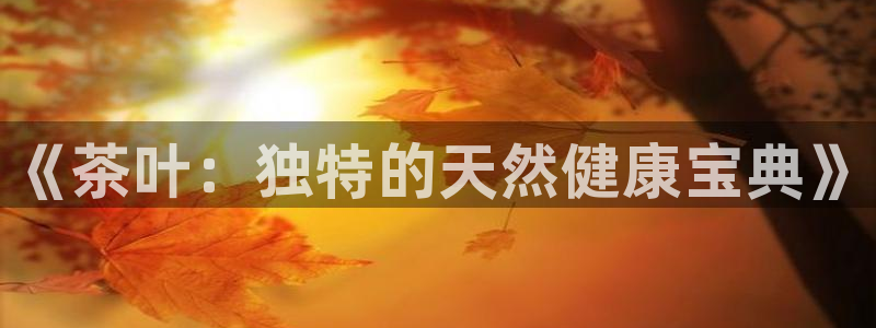 彩名堂拼音怎么拼