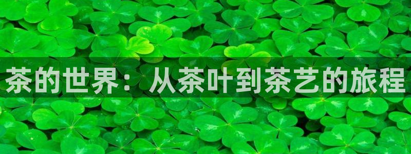 彩名堂客户端是永久免费吗