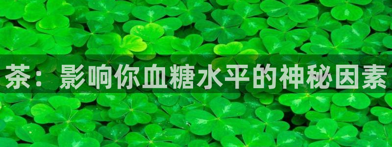 彩名堂官网计划01