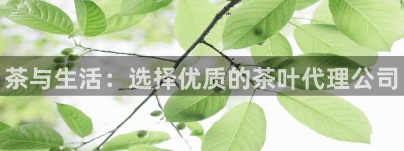 彩名堂改成什么名字了