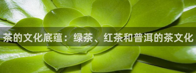 彩名堂是正规的公司吗