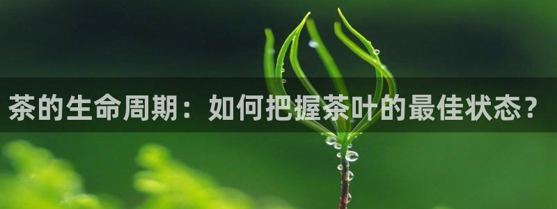 彩名堂预测软件与分析软件区别