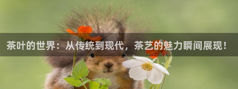 彩名堂在线下载