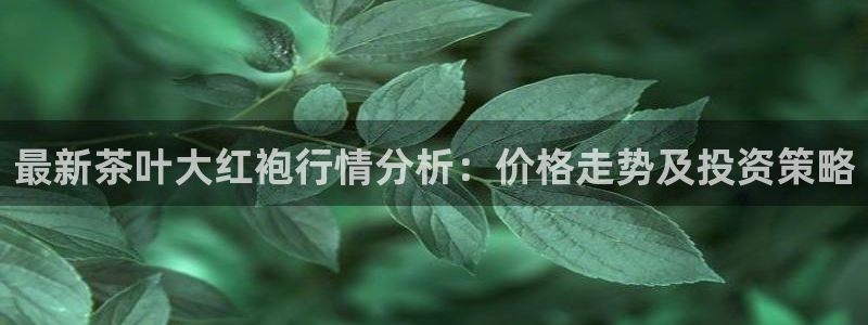 下载彩名堂预测计划软件安装