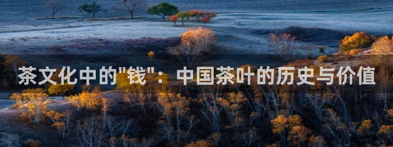 彩名堂app官方网