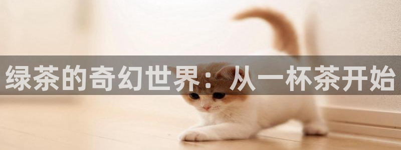 彩名堂为啥不准了乱变
