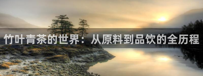 彩名堂免费计划官网怎么进不去了呢