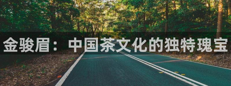 彩名堂人工计划客户端官网