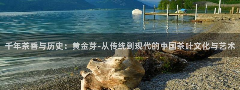 彩名堂免费计划官网5.0.0