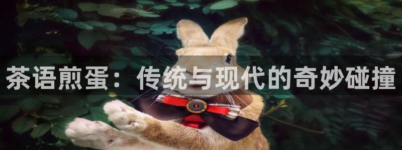 彩名堂App下载