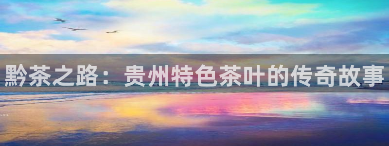 最新彩名堂计划