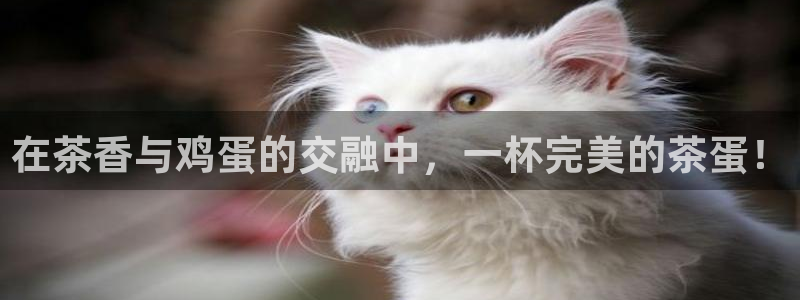 彩名堂官网2