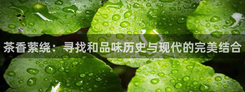 彩名堂免费计划官网50