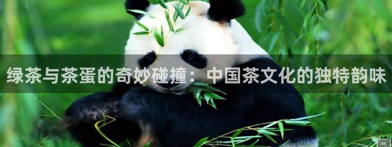 彩名堂手机客户端怎么下载