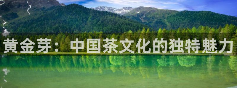 彩名堂是正规的公司吗