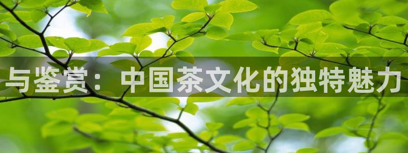 彩名堂改名稻草人了吗