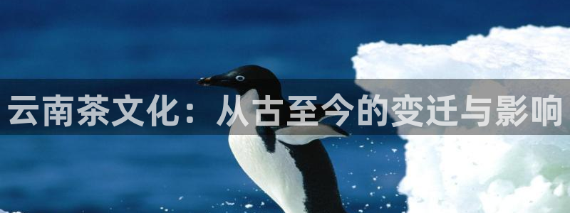 如何进入彩名堂官网更新