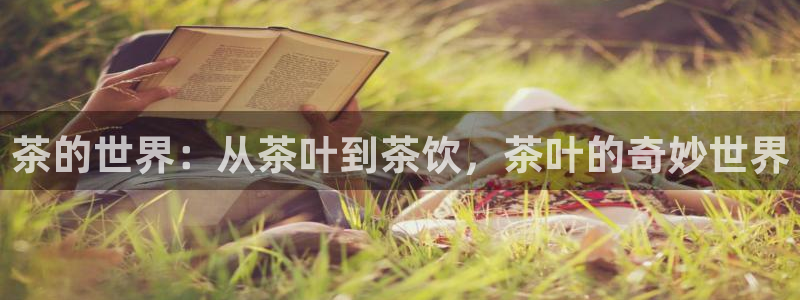 彩名堂计划技巧