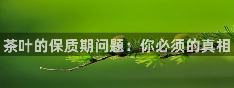 彩名堂App下载