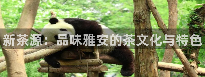 彩名堂为啥又不能用了
