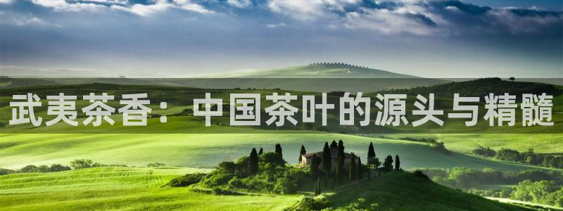 彩名堂开奖结果查询